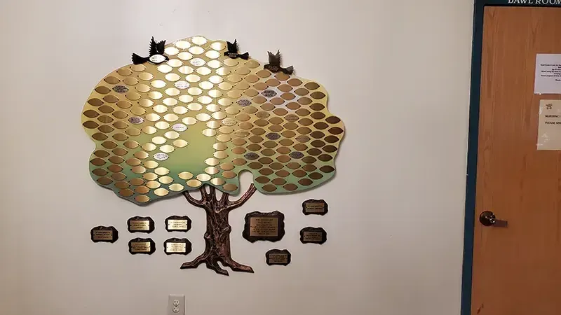 A B&D custom Contempo donor tree with engraved leaves set against a colored acrylic background panel.
