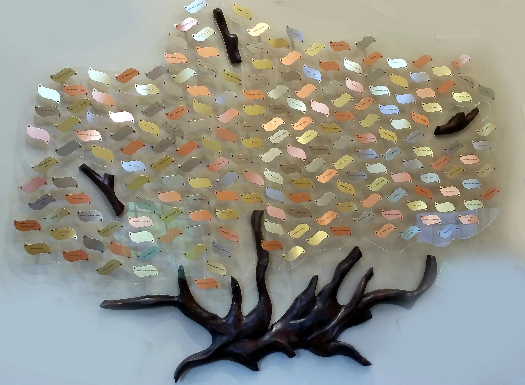 A large B&D custom donor tree — hundreds of engraved leaves spreading from a carved wood trunk across a lobby wall.