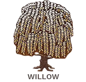 B&D Willow donor tree line emblem
